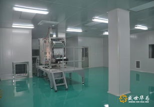 盛世華為 食品廠凈化車間的專業(yè)服務商