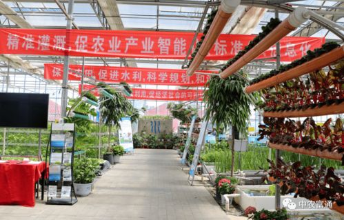 加快工廠化循環水養殖裝備技術創新，助推水產養殖綠色高效發展